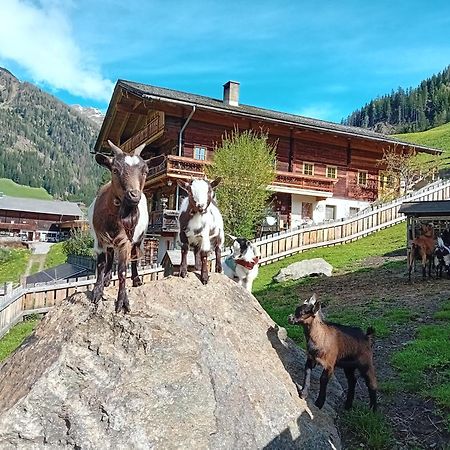 Ferienhaus Egger Innervillgraten Esterno foto