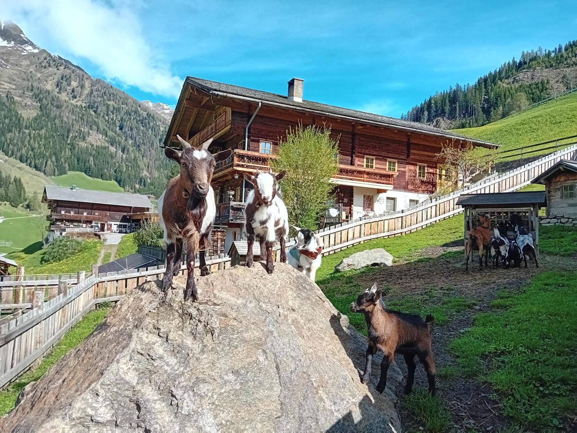 Ferienhaus Egger Innervillgraten Esterno foto